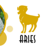 Personalized Green Heart Handle Mug Aries Sun Sign Design 8 2